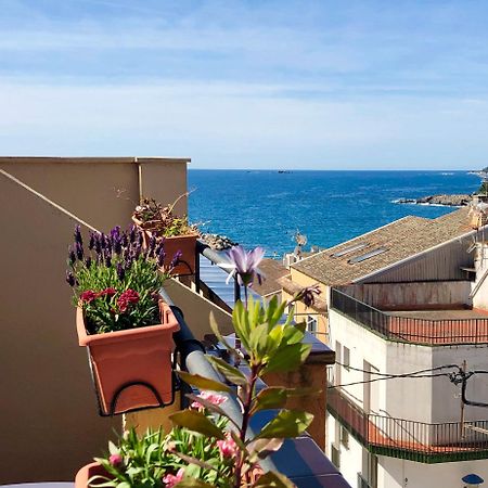 Hotel Medium Montecarlo Palafrugell Exterior photo